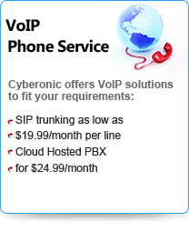 VoIP Phone Service